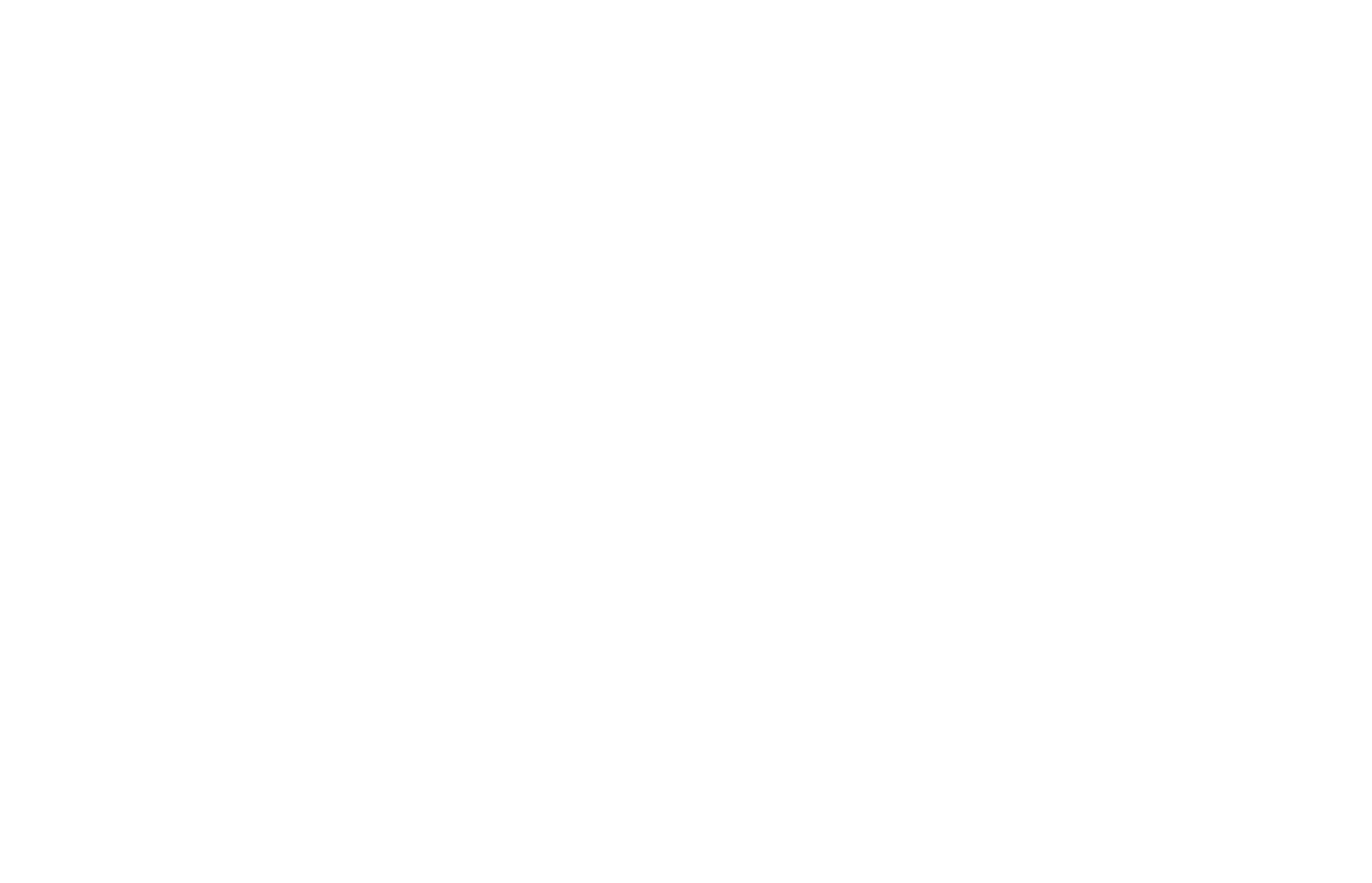 Stefan Winter Logo